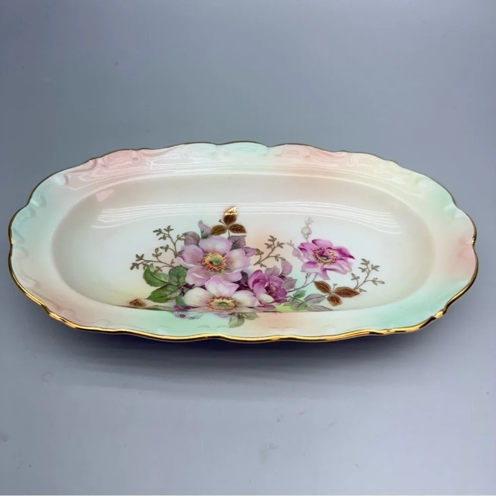 Vintage Schumann Arzberg Germany  Wild Rose Pattern Handpainted Porcelain Dish